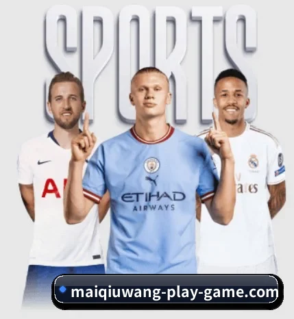 五大服务分区,信息按项目分类(pg)